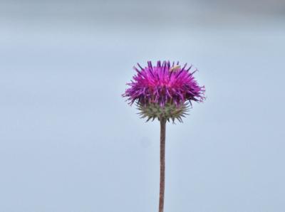 Прикрепленное изображение: zb34.jpg